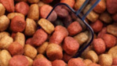 ingredients in cat food