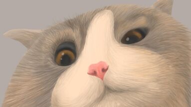 healing autoimmune diseases in cats