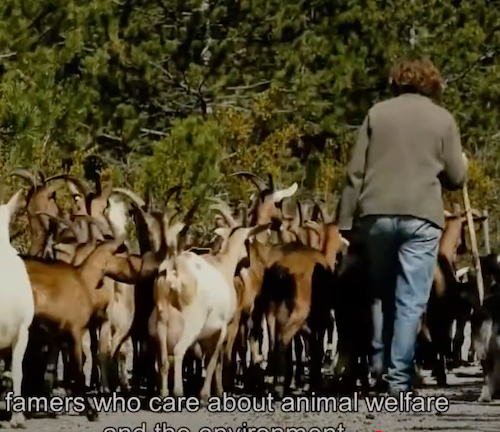 homeopathy another way