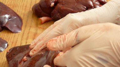 raw cat food vs cooked cat food