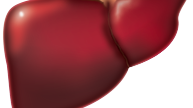 hepatis lipidosis in cats