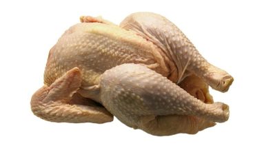 kidney failure with low protein cat food